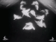 bd3e588de442dd143e0cee1c917bfe3a.gif bd3e588de442dd143e0cee1c917bfe3a.gif