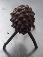pinecone_pig_by_brothergear_dgq928r-fullview.jpg pinecone_pig_by_brothergear_dgq928r-fullview.jpg