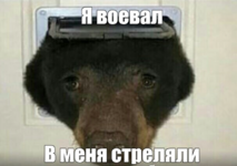 1757350644406.png