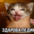 xxxanpurpy